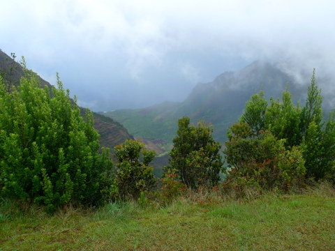 P1420568