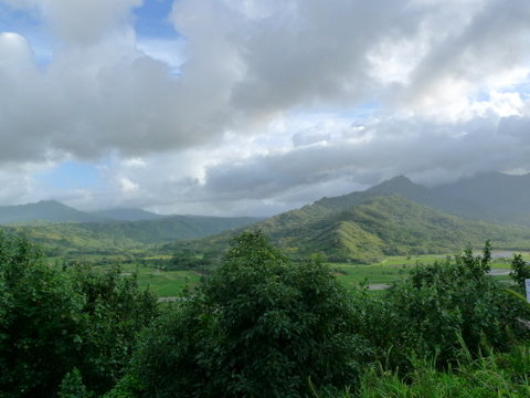 P1450806