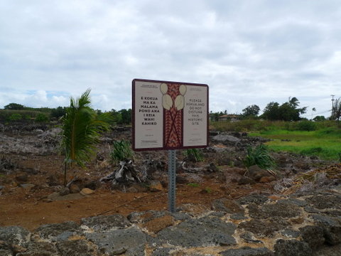 P1410950