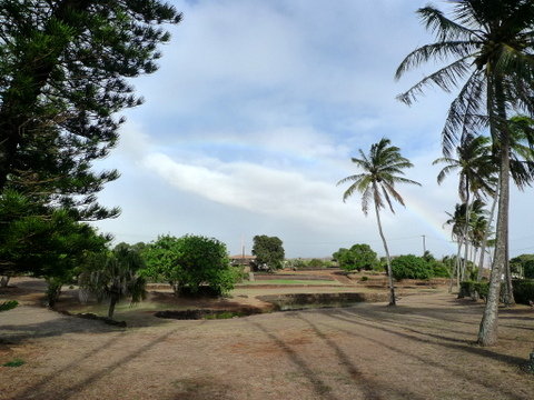 P1410811