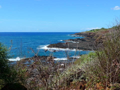 P1410589