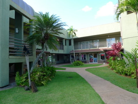 P1430529