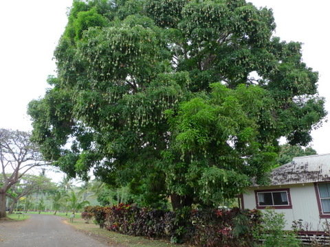 P1490237
