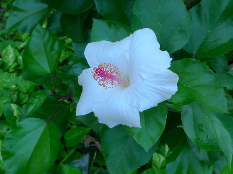 P1430715