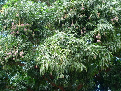 P1490105