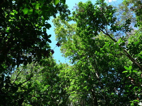 P1290408