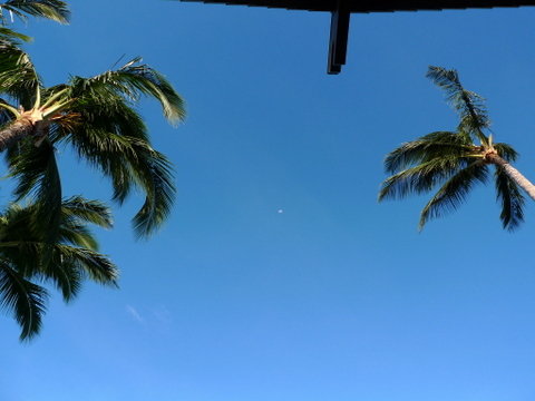 P1350783
