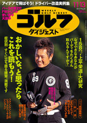 inc_wgd