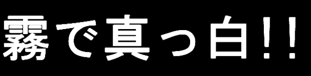 0a0