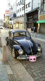 63908a99.jpg