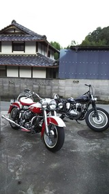 65a815c3.jpg