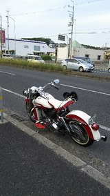 73bb63f5.jpg