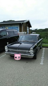 8805e48f.jpg