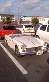 d3060c9e.jpg