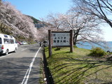 海津大崎〜♪