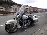 2001 FLHPEI ポリス