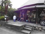 精華大の学生さん
