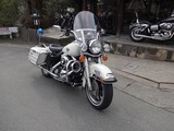 2001 FLHPEI ポリス