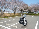 しんあさひ風車村道の駅♪