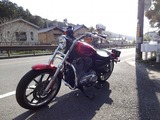 2012 XL883L