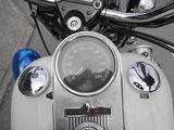 2001 FLHPEI ポリス