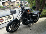 09 XL883R