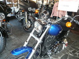 XL1200L〜♪