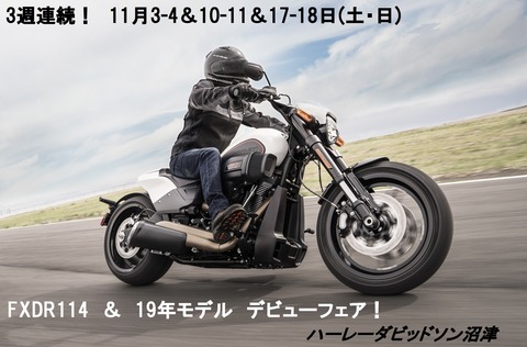 FXDR114-31