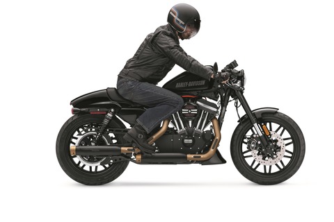XL1200X_VividBlack_alt_rider