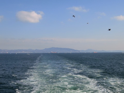 CIMG7739-1