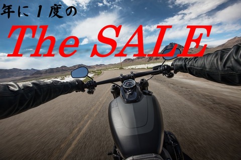 The SALE-2018-2