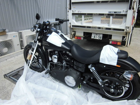 CIMG3293