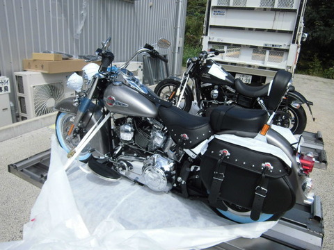 CIMG3295