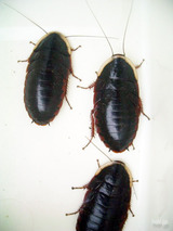 e703ae20.jpg