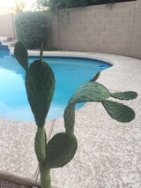 772