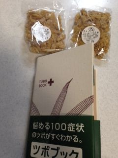 しょうがチップ&ツボ本