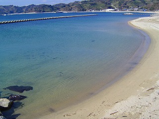 DSC01320