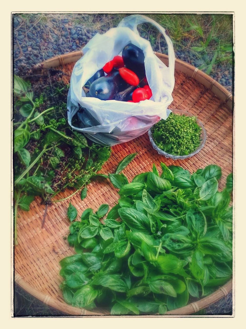 vege