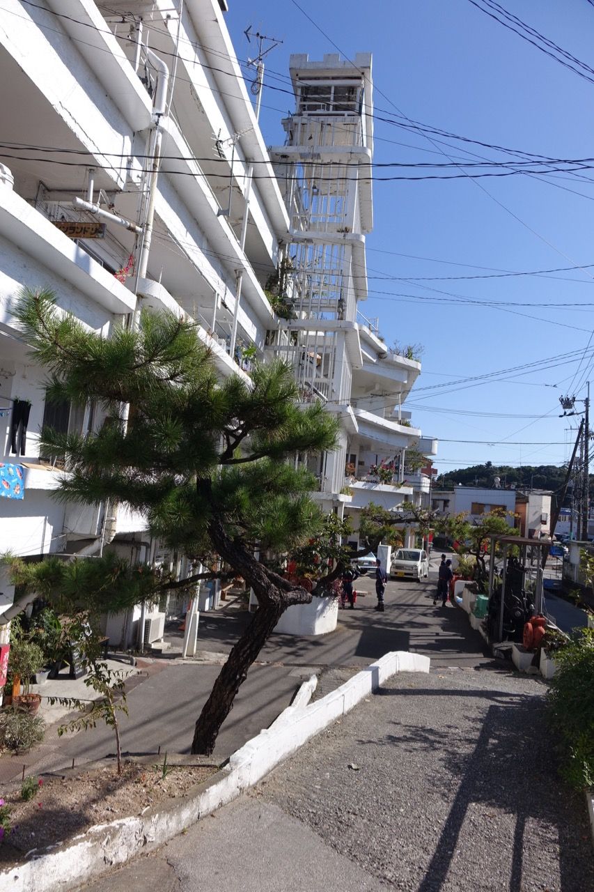 DSC08003