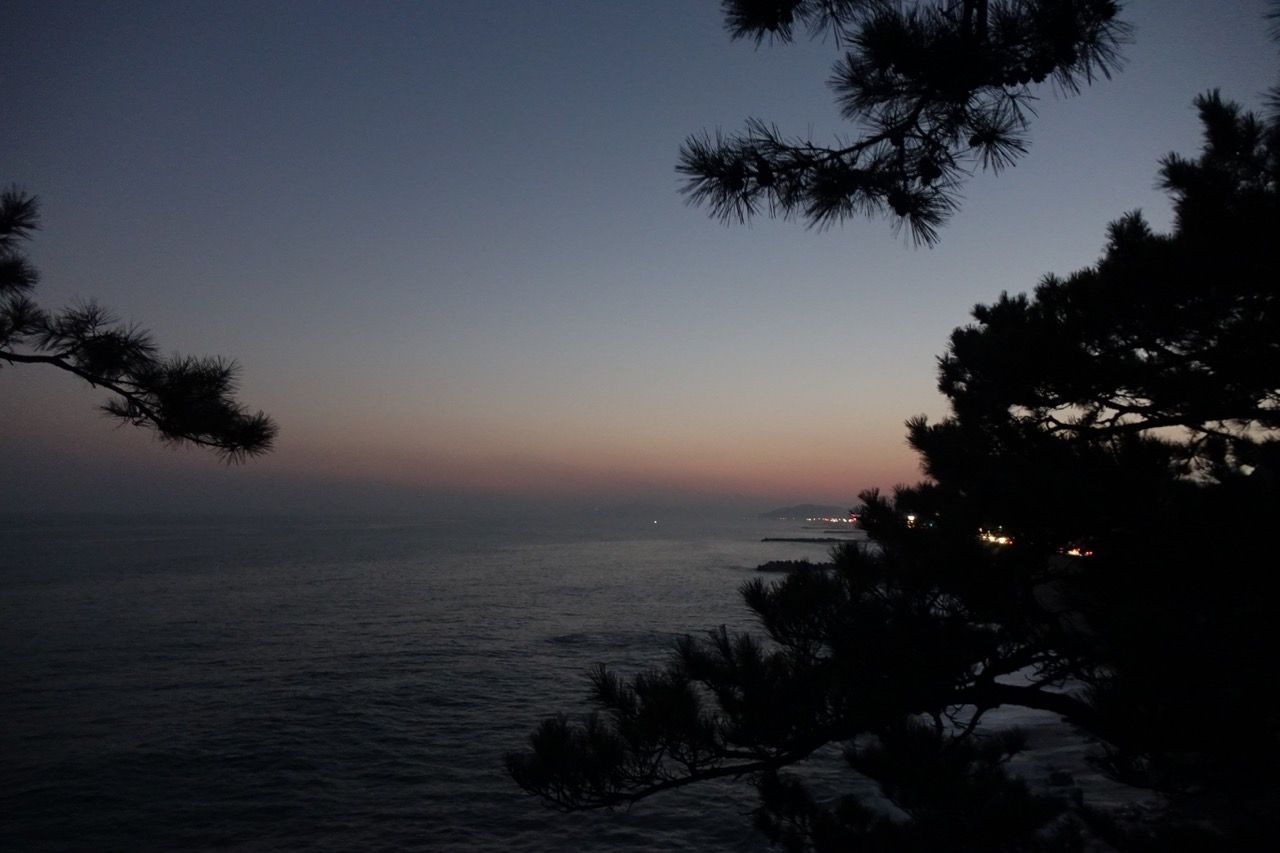DSC07985