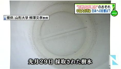 中国大気汚染、日本で“花粉症悪化”も5