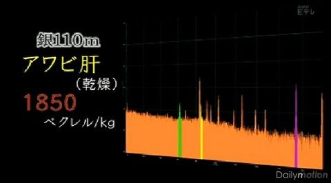 海のホットスポットを追う5.jpg
