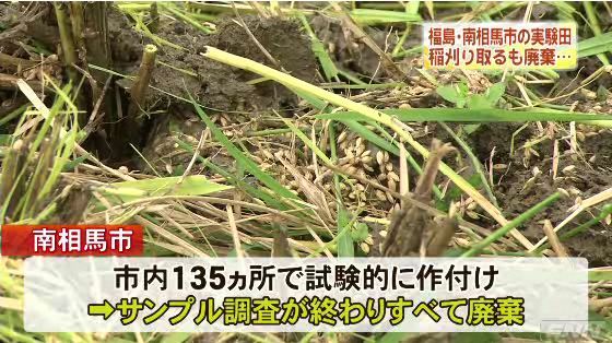 田んぼにそのまま廃棄