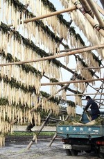 大根天日干し
