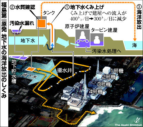 福島第一 地下水 検出孔