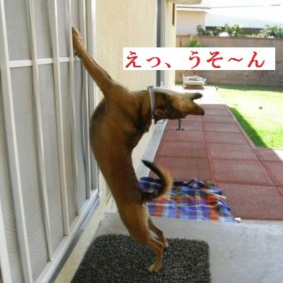 うそーん