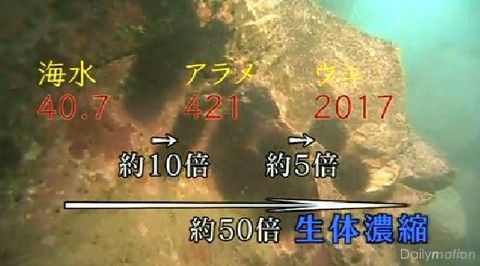 海のホットスポットを追う3.jpg