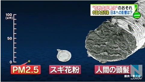 中国大気汚染、日本で“花粉症悪化”も8