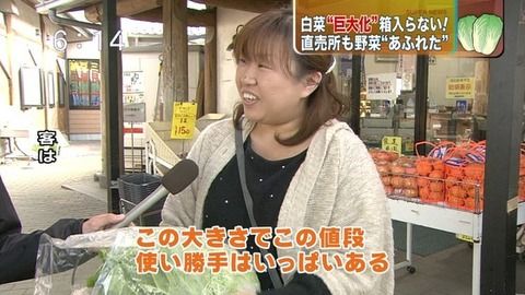 関東の野菜が急激に巨大化してるらしい5.jpg
