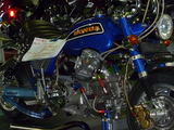 d5e63ca3-s.JPG
